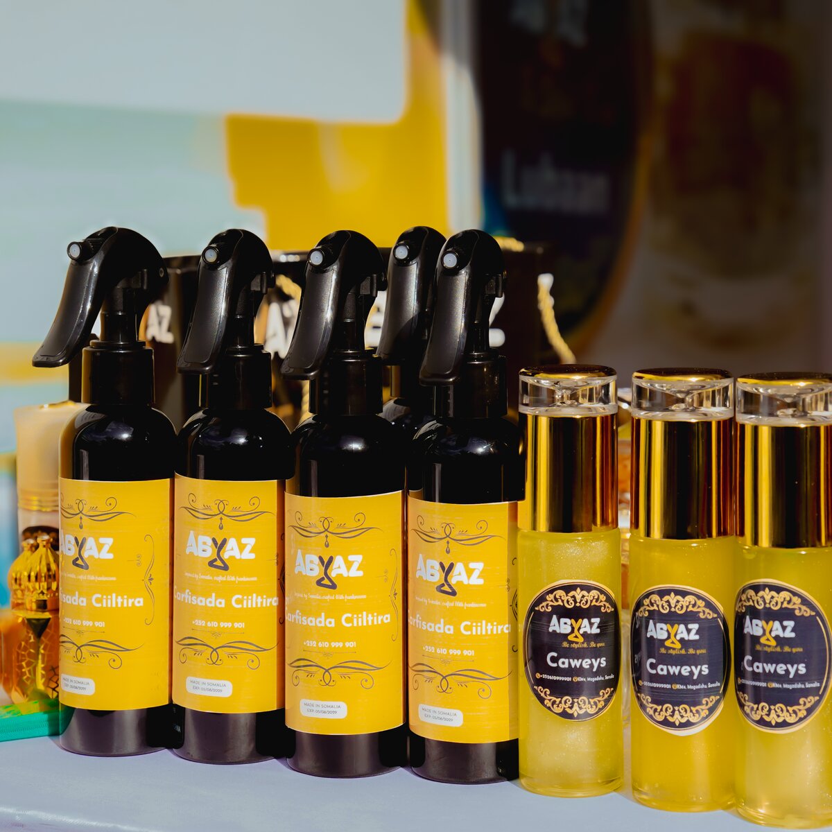 Explore Our Oils